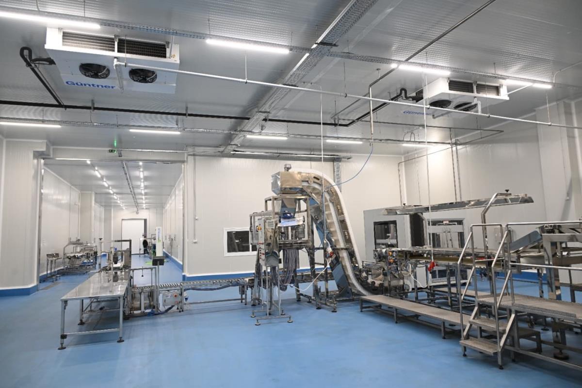 buducnostsrbijeav (3).jpeg