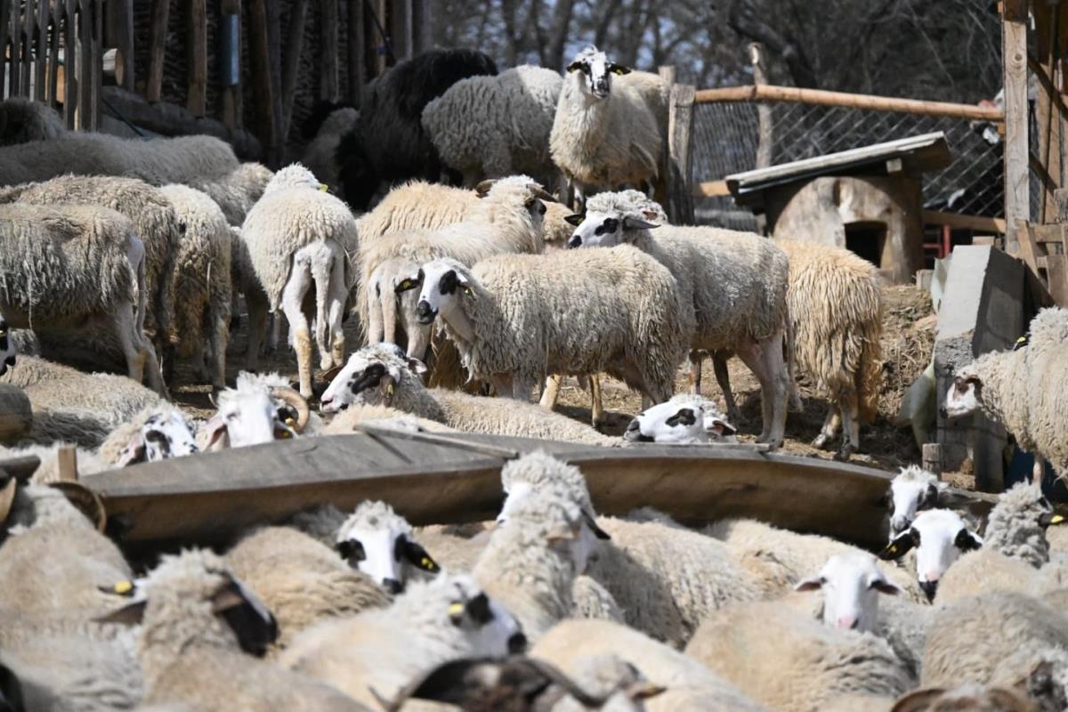 buducnostsrbijeav (1).jpeg