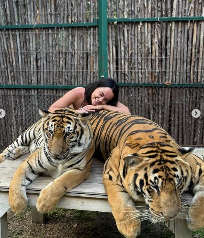 Screenshot 2025-03-22 152255.png