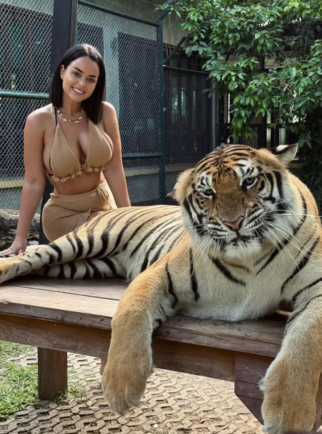 Screenshot 2025-03-22 152225.png