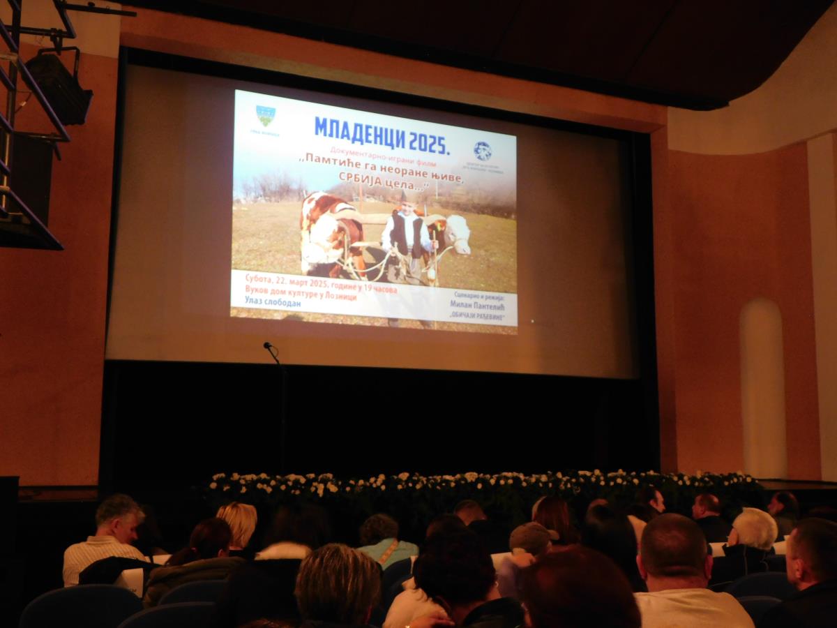 LOZNICA - Počeo Putujući festival.JPG