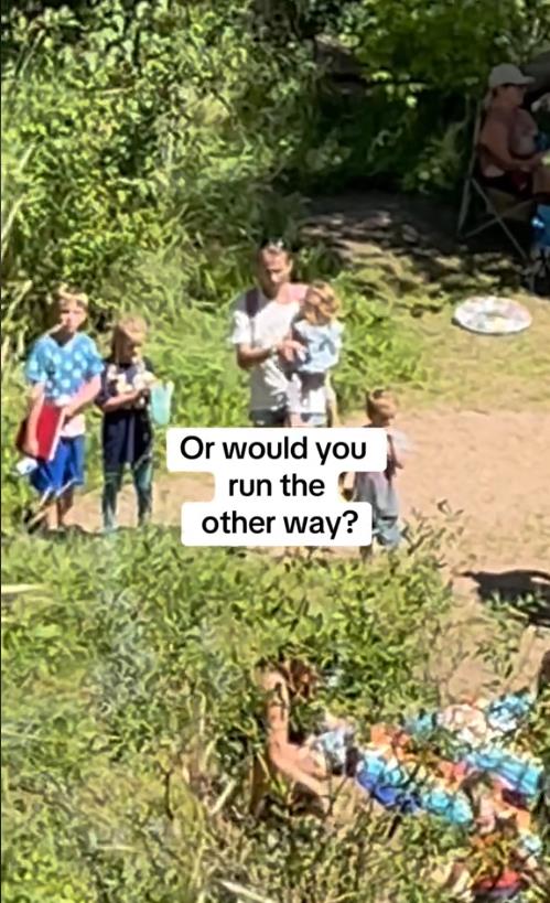 taralin romero 10.png