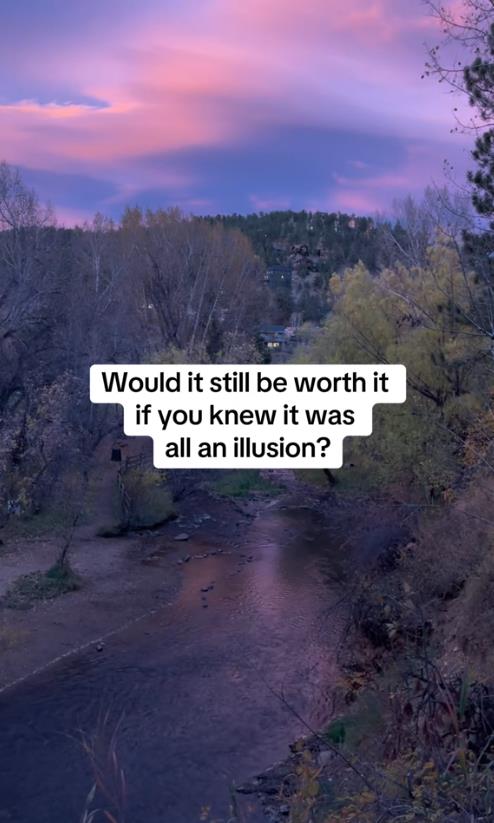 taralin romero 8.png