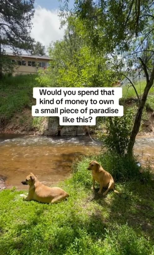 taralin romero 6.png