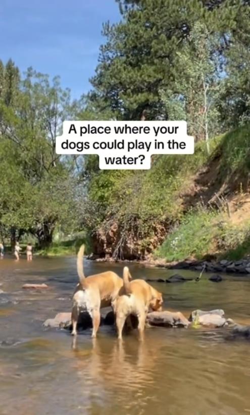 taralin romero 5.png