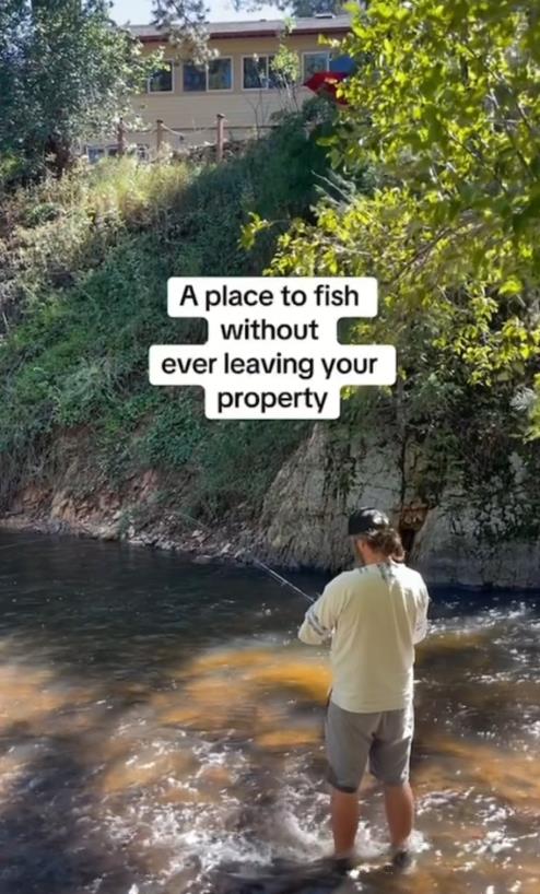 taralin romero 4.png