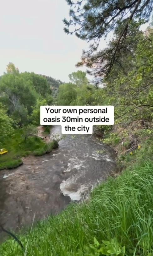 taralin romero 1.png