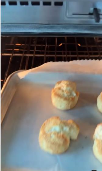 gvinet paltrou 11.png