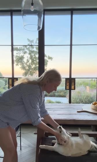 gvinet paltrou 10.png