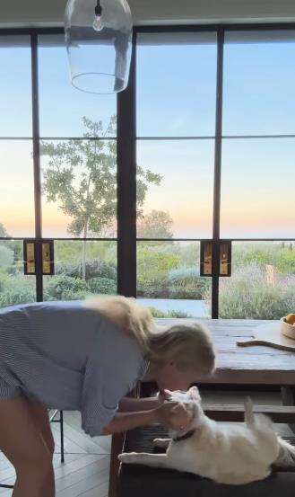 gvinet paltrou 9.png