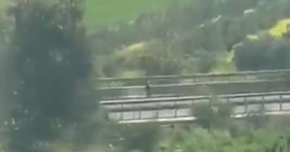 Screenshot 2025-03-24 114312.jpg