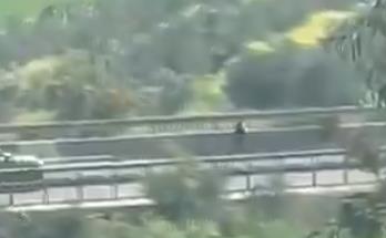 Screenshot 2025-03-24 114317.png