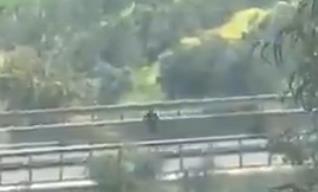 Screenshot 2025-03-24 114330.png