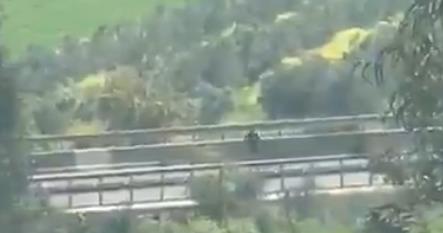 Screenshot 2025-03-24 114443.png