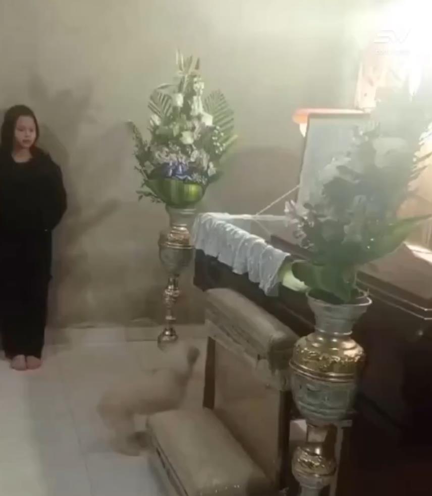 Screenshot 2025-03-24 163856.jpg