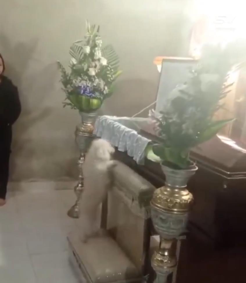 Screenshot 2025-03-24 163911.png