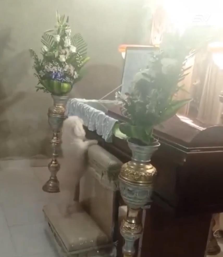 Screenshot 2025-03-24 163933.png