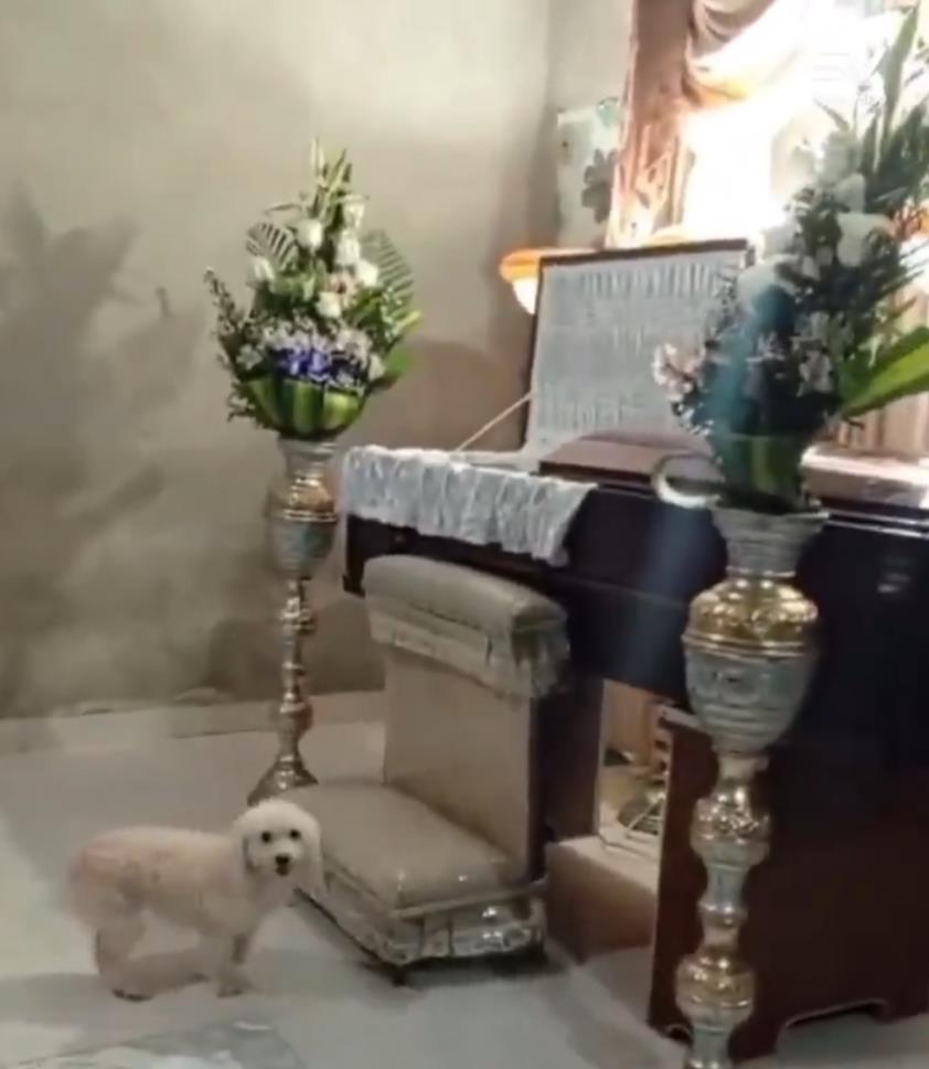 Screenshot 2025-03-24 163941.png