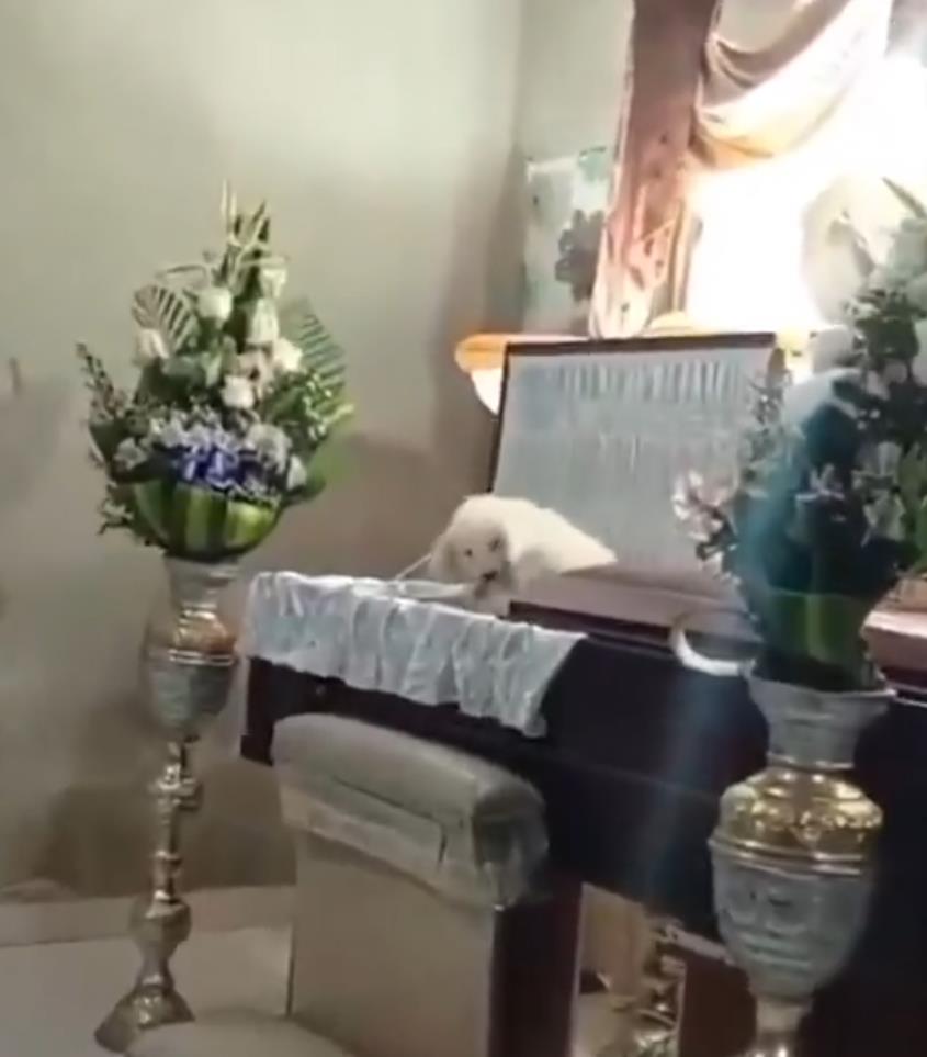 Screenshot 2025-03-24 164004.png