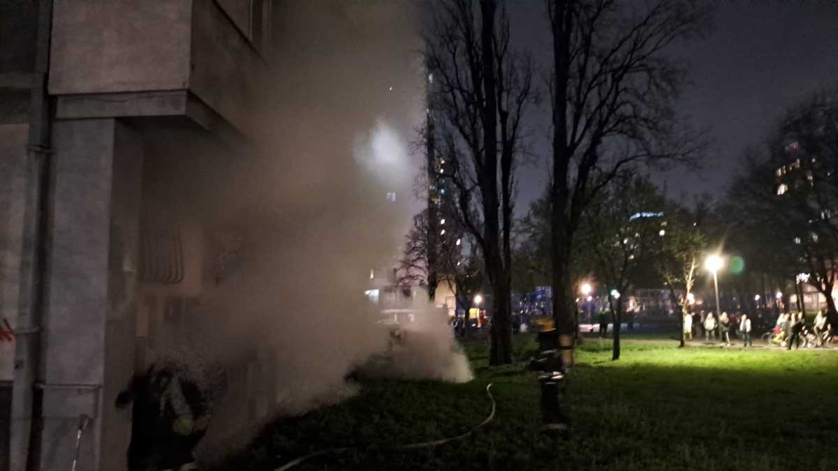 WhatsApp Image 2025-03-25 at 19.52.33_470f05af.jpg