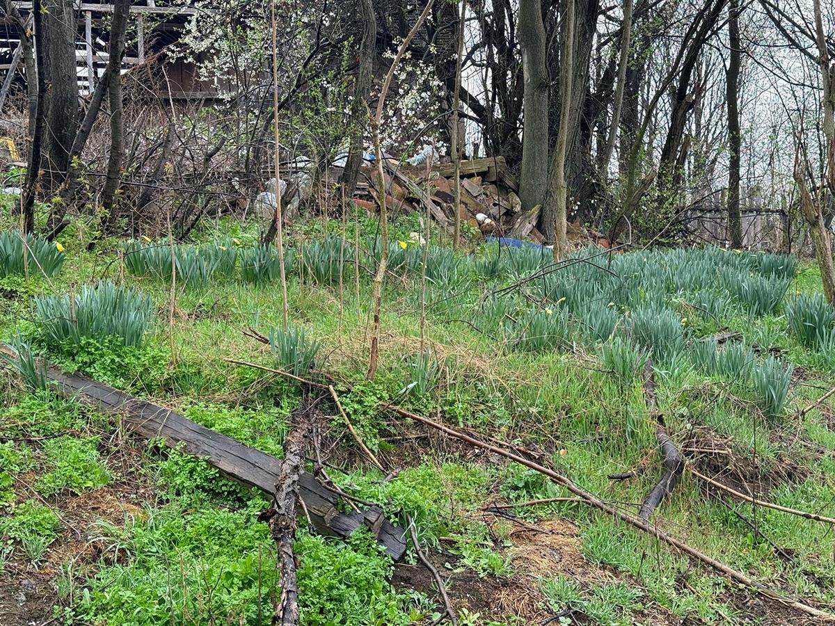 WhatsApp Image 2025-03-26 at 7.28.25 AM.jpeg