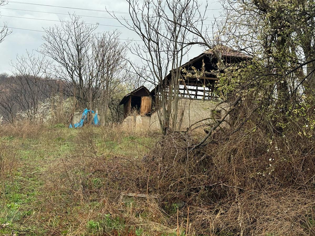 WhatsApp Image 2025-03-26 at 7.28.31 AM (2).jpeg