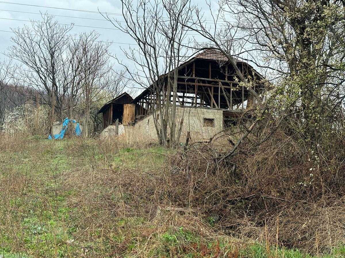 WhatsApp Image 2025-03-26 at 7.28.32 AM.jpeg