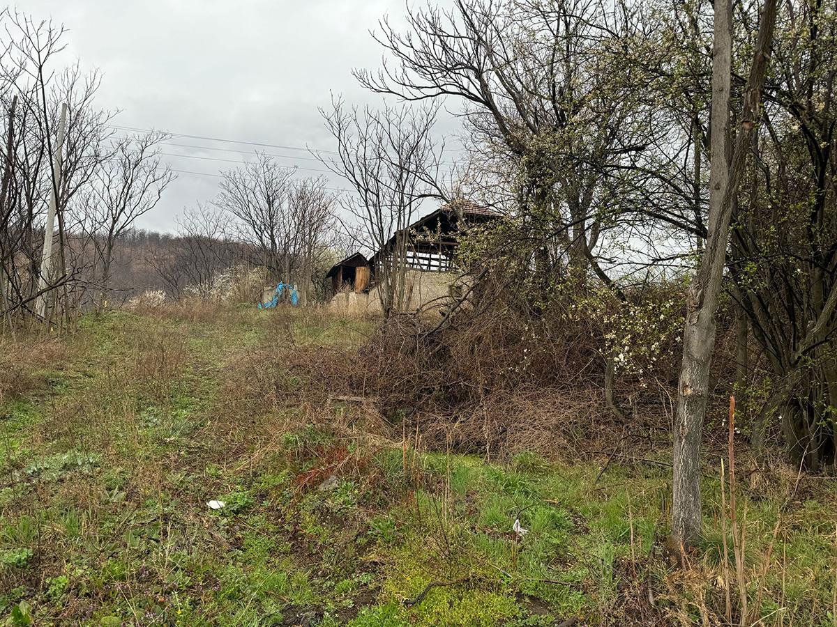 WhatsApp Image 2025-03-26 at 7.28.38 AM.jpeg