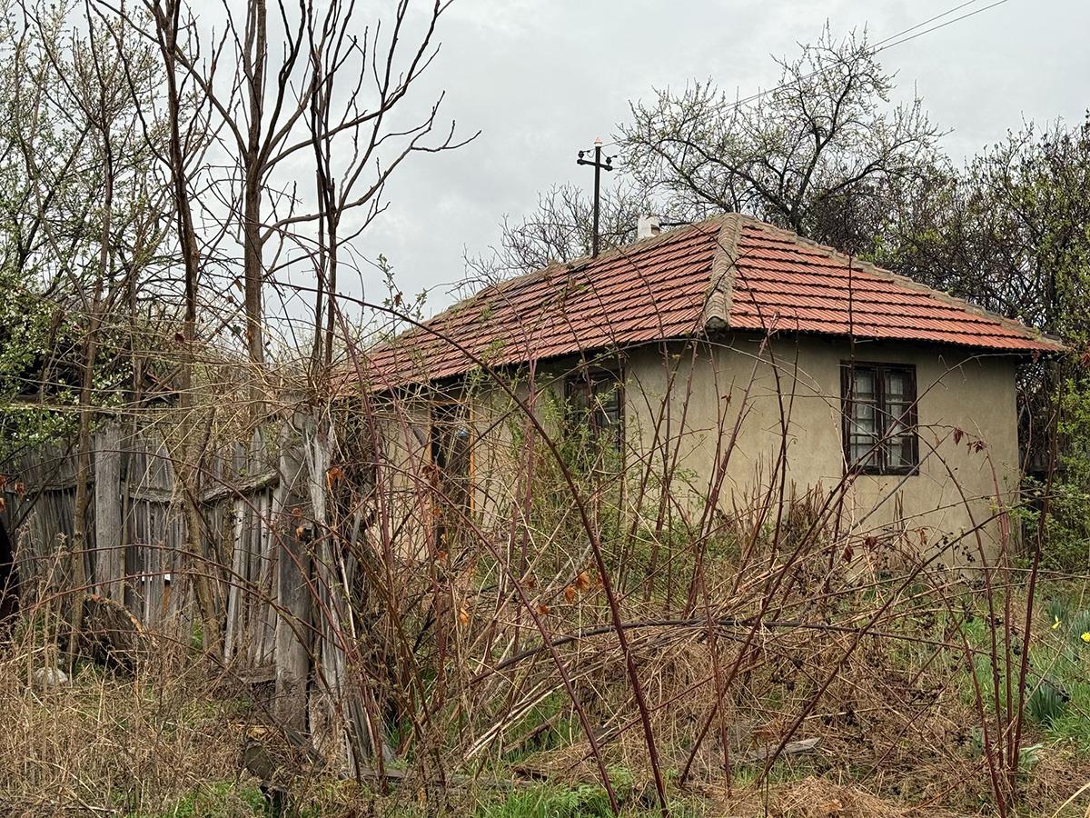 WhatsApp Image 2025-03-26 at 7.28.43 AM.jpeg