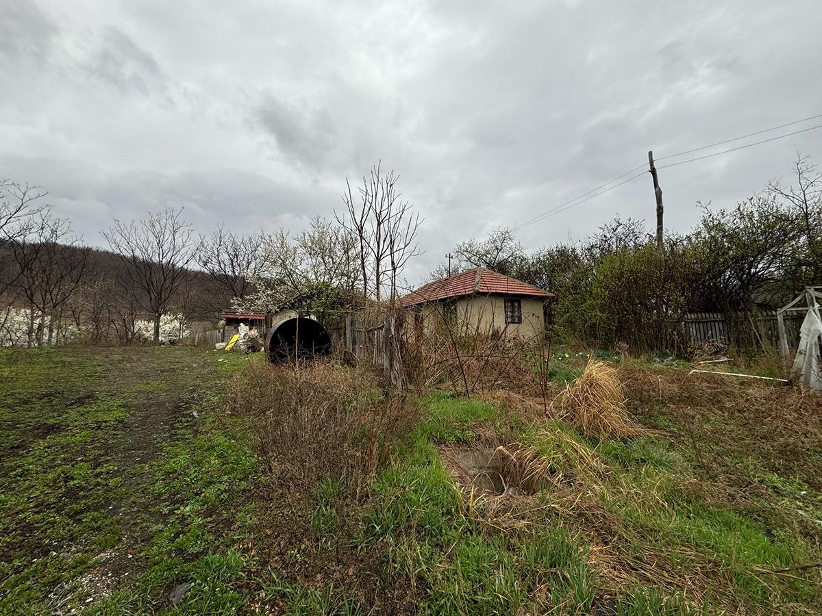 WhatsApp Image 2025-03-26 at 7.28.44 AM (1).jpeg