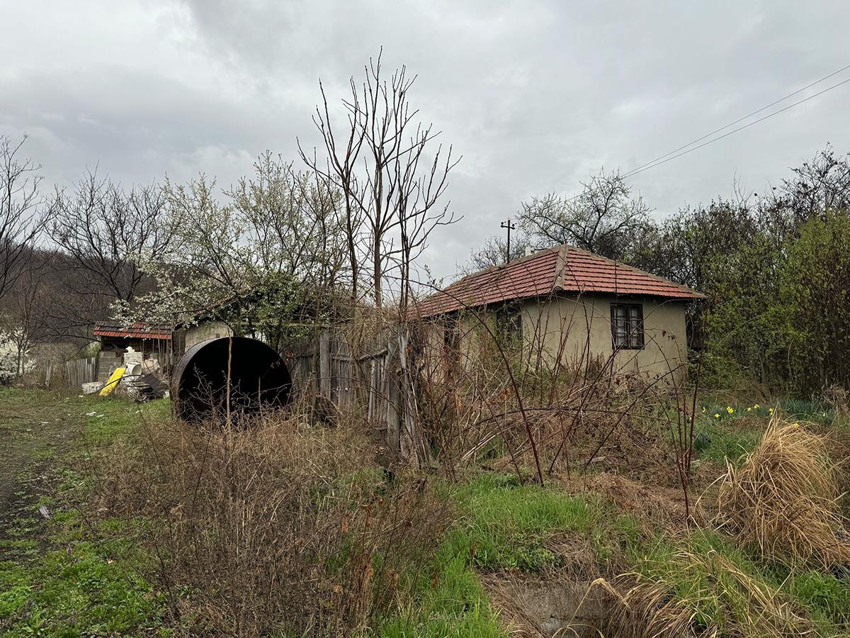 WhatsApp Image 2025-03-26 at 7.28.44 AM.jpeg