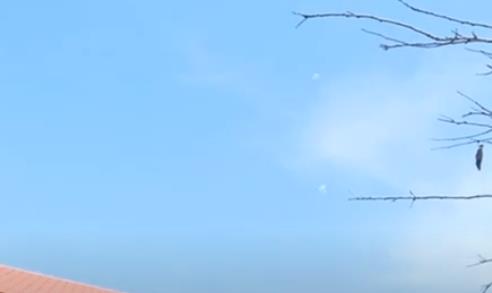 Screenshot 2025-03-26 115927.png