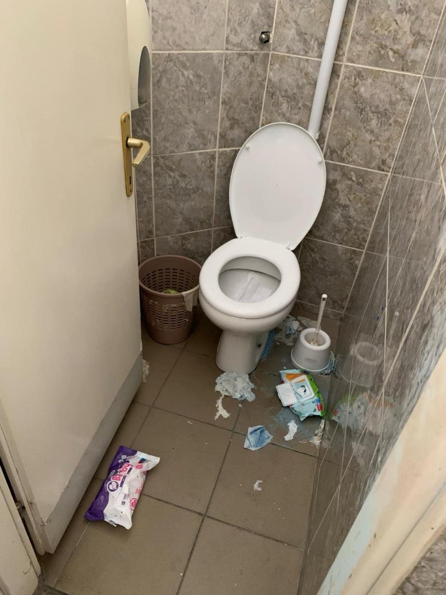 WhatsApp Image 2025-03-26 at 1.27.44 PM (4).jpeg