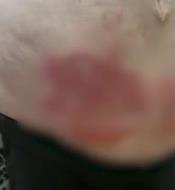 Screenshot 2025-03-26 155052.jpg