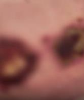 Screenshot 2025-03-26 155153.png