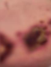 Screenshot 2025-03-26 155158.png