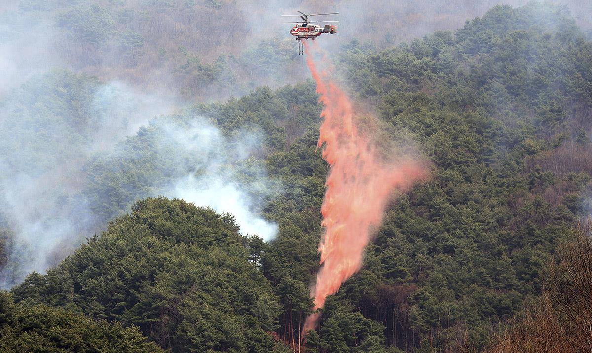 xxx AP Kim Dongmin.jpg