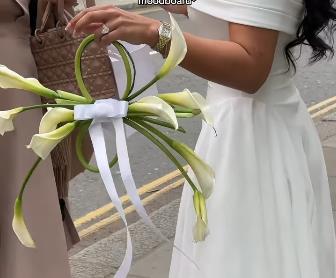 Bidermajer od kala 1.png