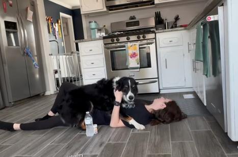 Pas spasao svoju vlasnicu 12.png