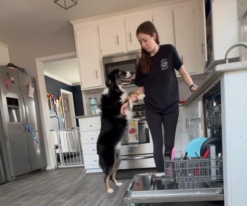 Pas spasao svoju vlasnicu 3.png