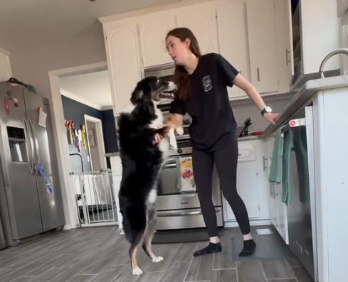 Pas spasao svoju vlasnicu 4.png