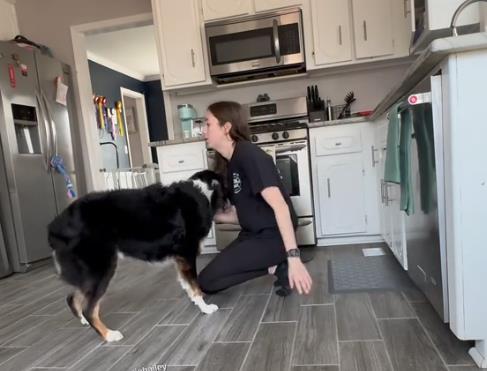 Pas spasao svoju vlasnicu 5.png