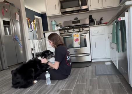 Pas spasao svoju vlasnicu 9.png