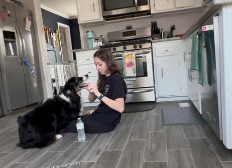 Pas spasao svoju vlasnicu 10.png