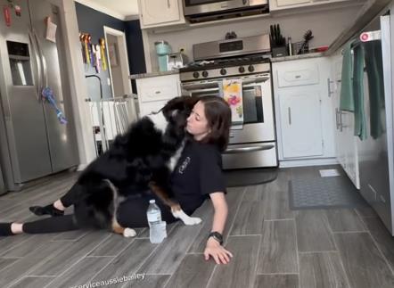 Pas spasao svoju vlasnicu 11.png