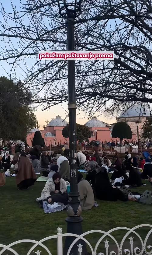 andjelija raicevic 9.png