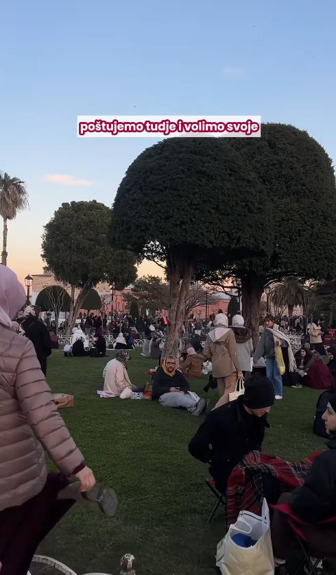 andjelija raicevic 7.png