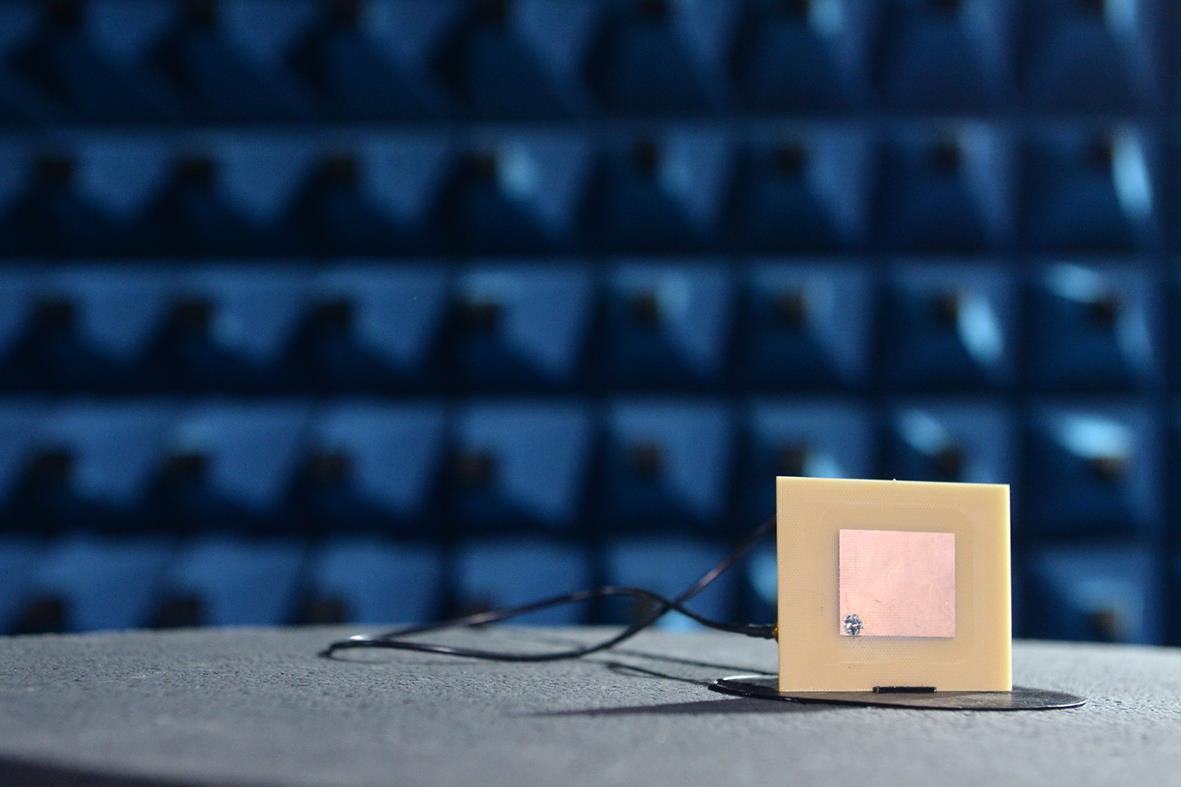 0801 jakov milosevic (4).JPG