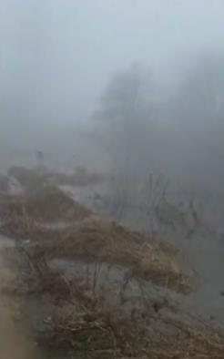 Screenshot 2025-03-30 093524.jpg