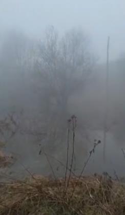 Screenshot 2025-03-30 093423.png